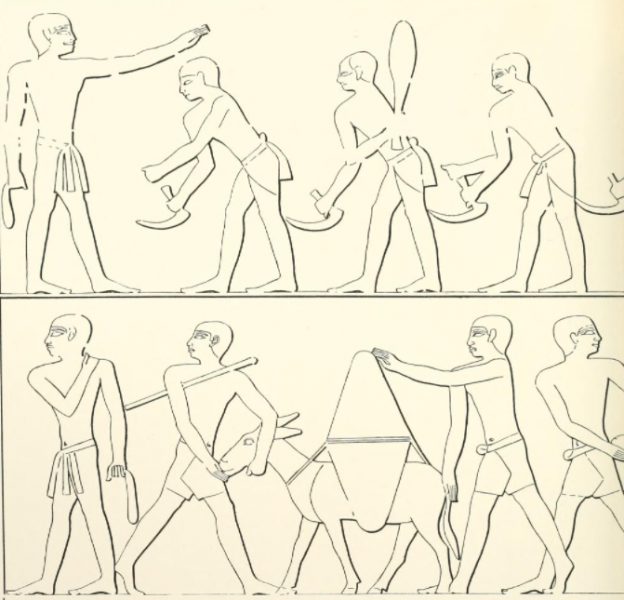 Datei:Phallusgürtel Davies Plt 7.png